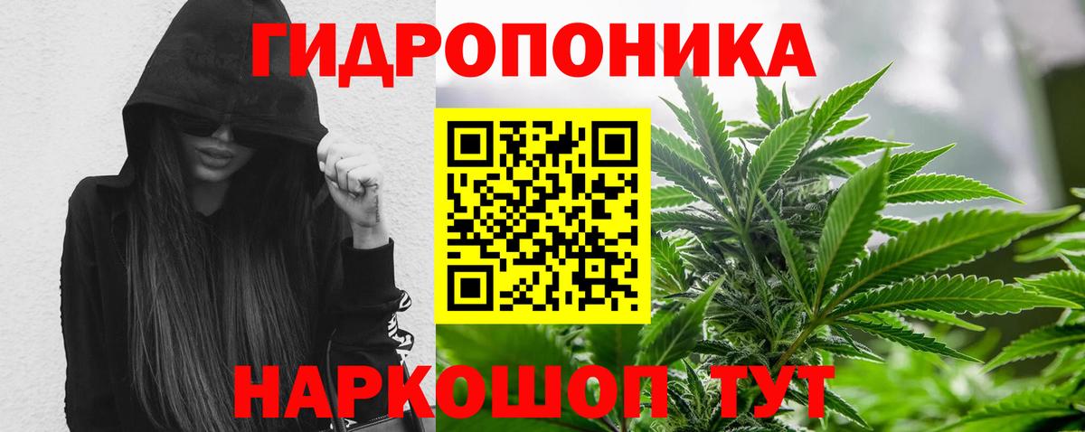 Канабис AK-47 Оренбург