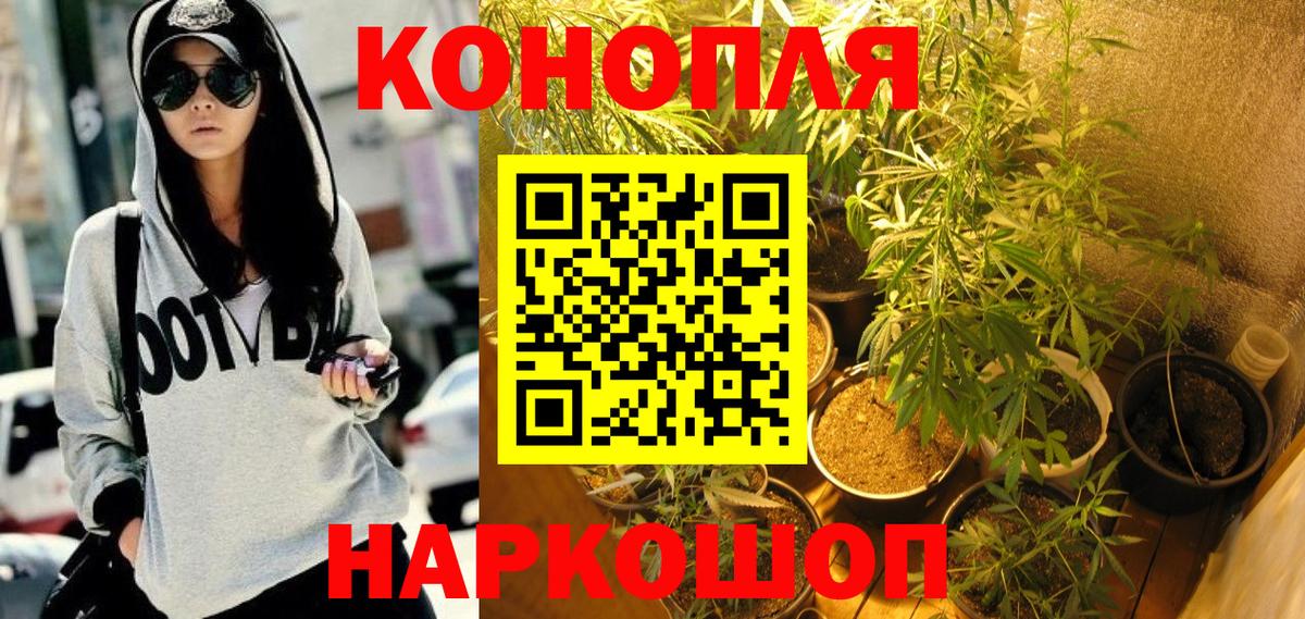 Марихуана конопля  Каннабис White Widow  Вход с VPN  Оренбург  Конопля White Widow 
